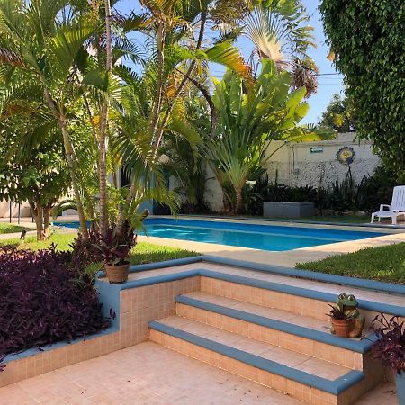 Suites Del Sureste - Merida Bagian luar foto